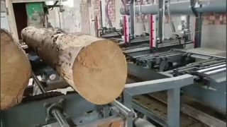 Aserradero de cinta vertical con carro hidráulico para troncos - agarre neumático para troncos