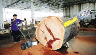 Electric Wood Saw Timber Cutting Chain Sawmill Saw Mill Portable