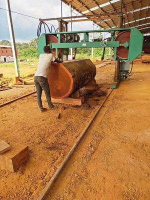 High Quality Log Wood Processing Sawmill Machine Horizontal Portable Bandsaw Sawmill Woodworking Band Sawmill